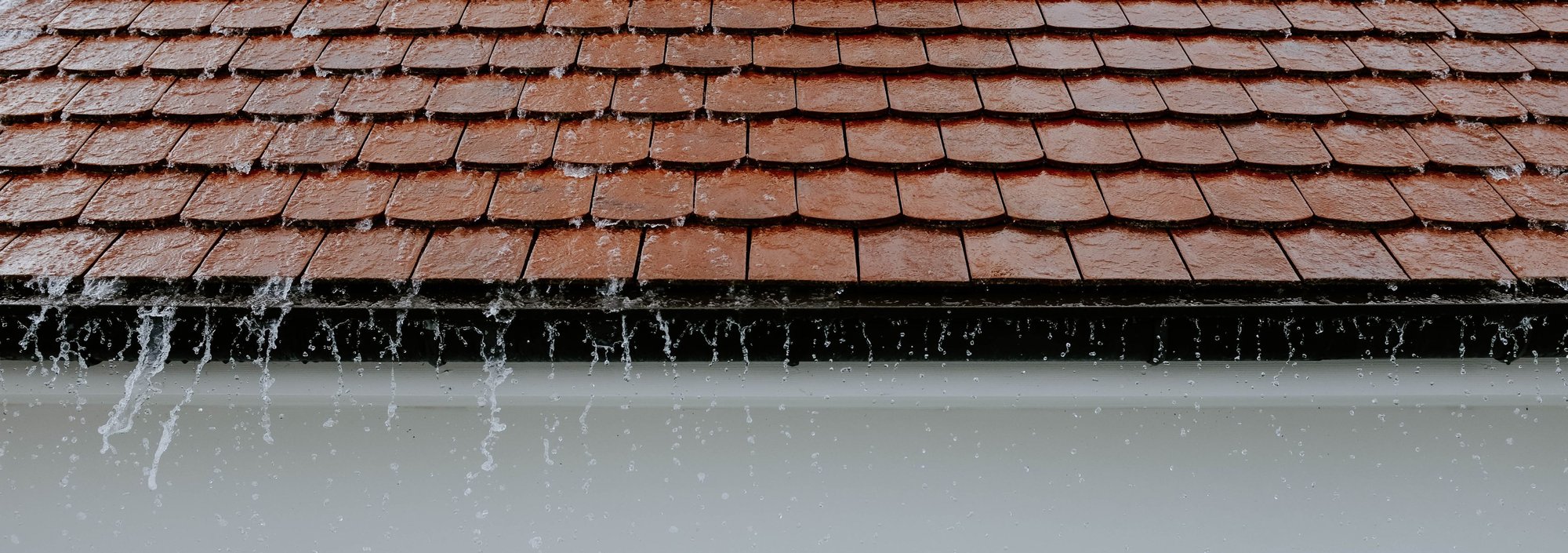 QLD storm blog QLD storm blog