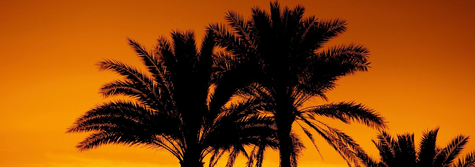 Your Summer Survival Guide as a Renter Your Summer Survival Guide as a Renter